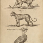 1699 BIBLE MAPS & Bestiary Lamy Illustrated Holy Land Judaica Animals Hebrews
