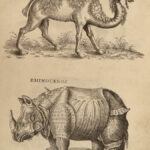 1699 BIBLE MAPS & Bestiary Lamy Illustrated Holy Land Judaica Animals Hebrews