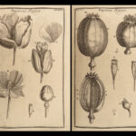 1719 Tournefort ENGLISH Herbal Botany PLANTS Flowers Botanical 132 Copper Plates