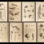 1719 Tournefort ENGLISH Herbal Botany PLANTS Flowers Botanical 132 Copper Plates