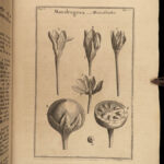 1719 Tournefort ENGLISH Herbal Botany PLANTS Flowers Botanical 132 Copper Plates