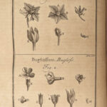 1719 Tournefort ENGLISH Herbal Botany PLANTS Flowers Botanical 132 Copper Plates