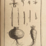1719 Tournefort ENGLISH Herbal Botany PLANTS Flowers Botanical 132 Copper Plates