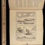 1884 ASTROLOGY Zodiac Astronomy Constellations Lilly Zadkiel Esoteric Occult