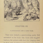 1885 Alice’s Adventures in Wonderland ALICE Carroll Tenniel Illustrated Fantasy