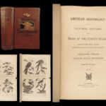 1871 American Ornithology BIRDS Alexander Wilson Animal Science Rare Species 3in1