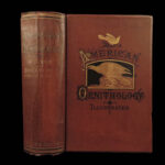 1871 American Ornithology BIRDS Alexander Wilson Animal Science Rare Species 3in1