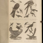 1871 American Ornithology BIRDS Alexander Wilson Animal Science Rare Species 3in1