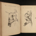 1873 Charles DARWIN 1ed Expression of Emotions in Man & Animal EVOLUTION Science