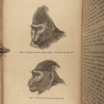 1873 Charles DARWIN 1ed Expression of Emotions in Man & Animal EVOLUTION Science