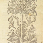 1529 GREEK Theophrastus BOTANY Philosophy Metaphysics Causes of PLANTS Botanical