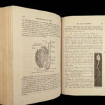 1870 Sexuality 1ed Fowler Phrenology & Physiology Pseudoscience Psychiatry Gender