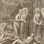 1883 BEAUTIFUL New Testament BIBLE Classical ART Raphael Da Vinci Paintings