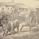 1881 Frank & JESSE JAMES Life Adventures of Younger Gang Western Outlaws Robbers