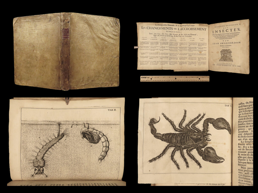 1685 insects 1ed swammerdam mosquitos scorpions dragonflies science illustrated | jan swammerdam was a 17<sup>th</sup>-century dutch entomologist best-remembered for his studies on the stages of life in insects. He began dissecting insects which propelled him to write his ‘general history of insects’ in which he not only describes the phases of an insect’s life, but also disproving many of the antiquated views on the internal anatomy of an insect. This 1685 french edition was published in utrecht and features numerous illustrations including views of: <ul> <li>mosquitos</li> <li>scorpions</li> <li>cockroaches, grasshoppers</li> <li>dragonflies</li> <li>ants</li> <li>moths and butterflies</li> <li>house flies</li> <li>tadpoles and frogs</li> </ul>