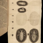 1685 INSECTS 1ed Swammerdam Mosquitos Scorpions Dragonflies SCIENCE Illustrated