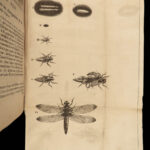 1685 INSECTS 1ed Swammerdam Mosquitos Scorpions Dragonflies SCIENCE Illustrated