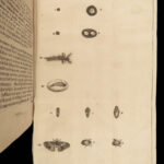 1685 INSECTS 1ed Swammerdam Mosquitos Scorpions Dragonflies SCIENCE Illustrated