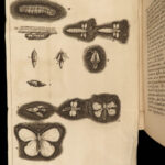 1685 INSECTS 1ed Swammerdam Mosquitos Scorpions Dragonflies SCIENCE Illustrated