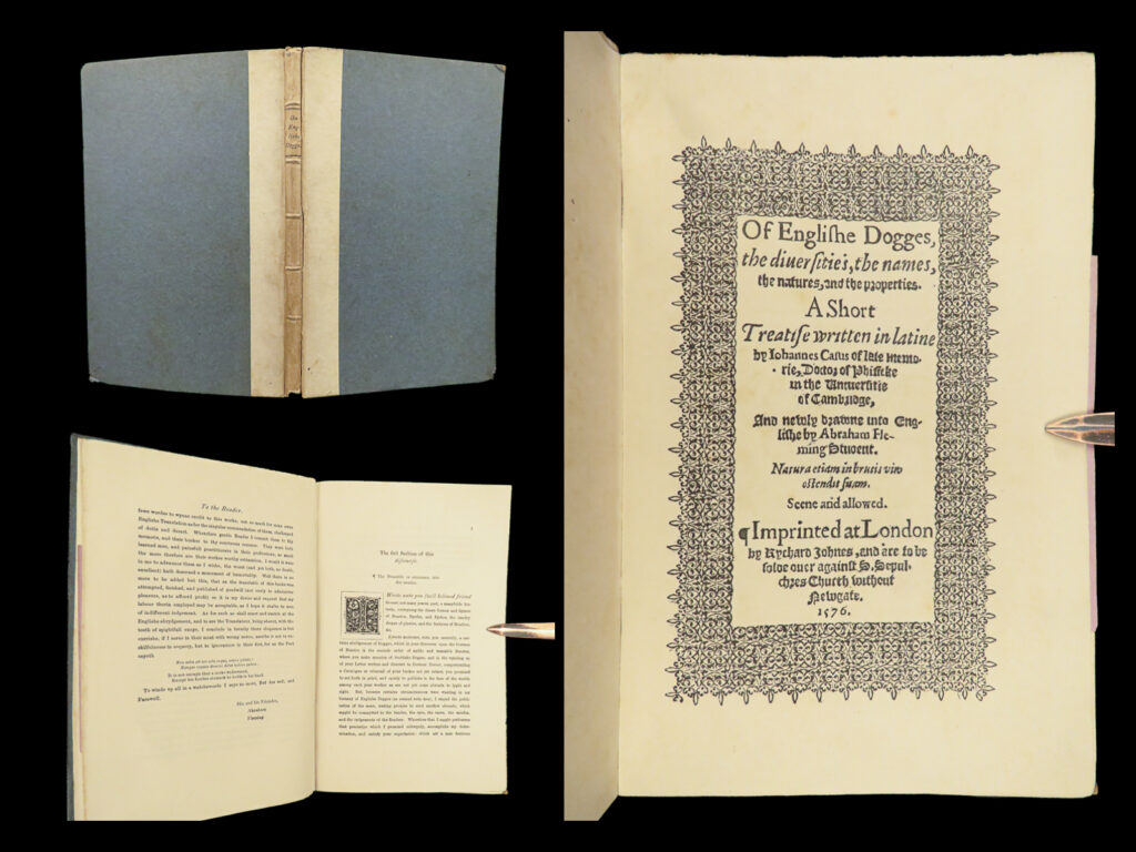 1576 ed dogges 1880 of english dogs abraham fleming caius canibus fox hunting | abraham fleming was a 16<sup>th</sup>-century english translator and poet most known for his famed translation of virgil’s “<em>eclogues</em>”. And while his virgil editions brought him fame, he is perhaps best remembered by his 1576 treatise on dogs. To this point in print history, very few works were published on pets and dogs in general. “<em>of englishe dogges</em>” was “the first book in english devoted entirely to dogs” (marston), though it was essentially a translation of john caius’s “<em>de canibus britannicis</em>”.   this book describes breeds and habits of dogs, but the book most covers the roles of dogs in hunting. Fleming notes the use of bloodhounds in chasing rabbits, foxes, badgers, weasels, and many other types of game.   this 1880 edition is a reissue of the original 1576 complete with a facsimile of the original title page.