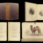 1835 DEER Elk Moose Camels Llamas Giraffe Illustrated Animals Jardine Naturalist