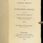 1835 DEER Elk Moose Camels Llamas Giraffe Illustrated Animals Jardine Naturalist
