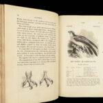 1845 British BIRDS Ornithology Aviary Illustrated 3v 500+ Woodcut Engravings