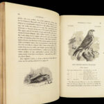 1845 British BIRDS Ornithology Aviary Illustrated 3v 500+ Woodcut Engravings