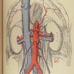 1897 Henry Gray GRAY’S ANATOMY Human Surgery Illustrated Medicine Physician