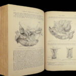 1897 Henry Gray GRAY’S ANATOMY Human Surgery Illustrated Medicine Physician