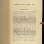 1883 DARWIN Origin of Species Evolution Survival of Fittest Biology Science RARE