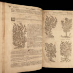 1640 BEST English HERBAL 1ed Theatrum Botanicum John Parkinson 2500+ Engravings