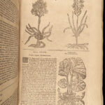 1640 BEST English HERBAL 1ed Theatrum Botanicum John Parkinson 2500+ Engravings