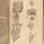 1640 BEST English HERBAL 1ed Theatrum Botanicum John Parkinson 2500+ Engravings