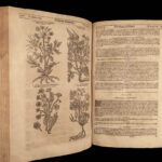 1640 BEST English HERBAL 1ed Theatrum Botanicum John Parkinson 2500+ Engravings