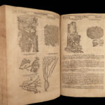 1640 BEST English HERBAL 1ed Theatrum Botanicum John Parkinson 2500+ Engravings