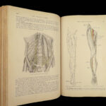 1897 Henry Gray GRAY’S ANATOMY Surgery Illustrated Medicine Physician Neurology