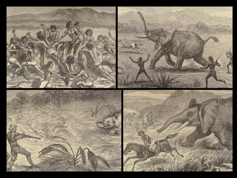 Image of 1867 Exploration NILE Tributaries Abyssinia Hunting Baker Africa Slave Trade