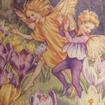 1927 Flower Fairies 1ed Cicely Barker Magic Fantasy Fairy ART Color Illustrated