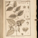 1793 Lamarck BOTANY Encyclopedia Methodique Botanique PLANTS Flowers 100 Plates