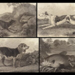 1801 HUNTING & FISHING 1ed Rural Sports Illustrated Horses DOGS Falconry 3v SET