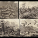 1801 HUNTING & FISHING 1ed Rural Sports Illustrated Horses DOGS Falconry 3v SET