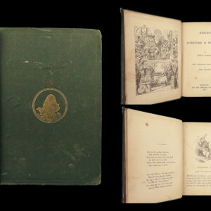 1876 Alice in Wonderland Lewis Carroll Tenniel Illustrated Fantasy Classic