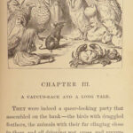 1876 Alice in Wonderland Lewis Carroll Tenniel Illustrated Fantasy Classic