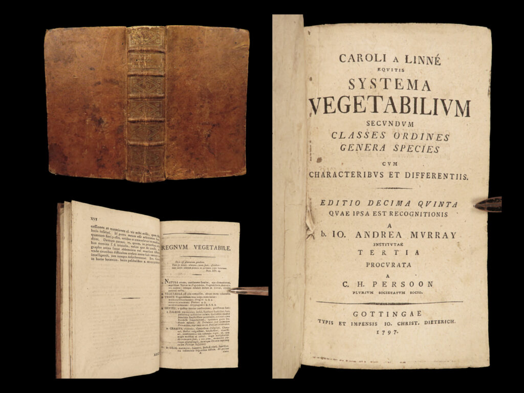 1797 botany carl linnaeus systema vegetabilium andrea murray plants medicine | <em>“if a tree dies, plant another in its place. ”</em> ― carl linnaeus   known as the father of modern taxonomy, carl linnaeus was an important 18<sup>th</sup>-century botanist who helped organize a system of naming living organisms. This research and studies were first published in a work entitled ‘<em>systema natura’</em> in which he covers the naming of animals, plants, and minerals. This work went through many editions and is one of the most important works of zoological studies.   in 1774, another swedish scientist named andreas murray edited, corrected, and published part of ‘<em>systema natura’</em> focusing on the vegetable kingdom. It was because of murray’s edition of ‘<em>systema vegetabilium’</em> that linnaeus became widely popular throughout europe.