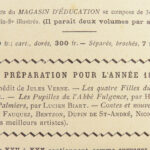 1879 Jules Verne 1st/1st Tribulations of Chinaman + Begum’s Fortune 2in1 Hetzel
