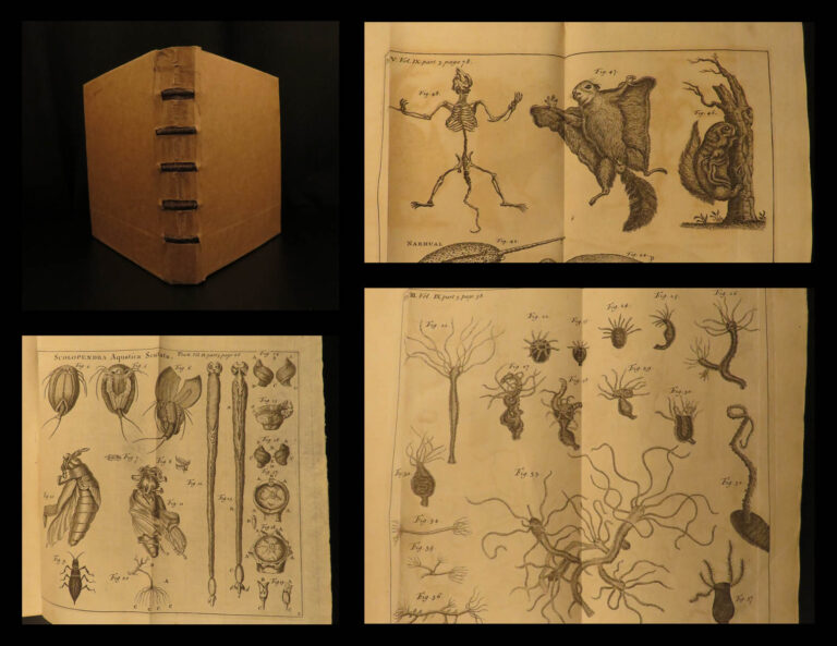 Image of 1747 1ed Martyn Philosophical Transactions Zoology Navigation Optics Science