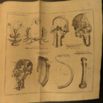 1747 1ed Martyn Philosophical Transactions Zoology Navigation Optics Science