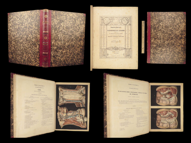 Image of 1839 ANATOMY ATLAS 1ed Bourgery 90 HUGE Engravings Medicine Surgery Jacob Folio