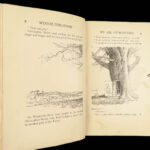 1926 Winnie the Pooh TRUE 1st ed AA Milne Illustrated Children’s Literature